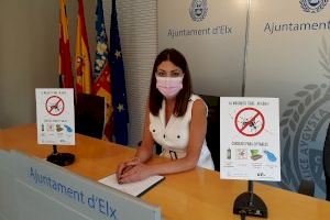 El Ayuntamiento de Elche planta cara al mosquito tigre y pide la colaboración ciudadana para evitar su propagación