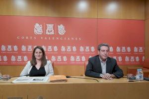 VOX presenta una declaración institucional en defensa de la unidad española que solo apoya Ciudadanos