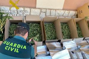 Engancha la luz al alumbrado público de Alzira para el cultivo de marihuana