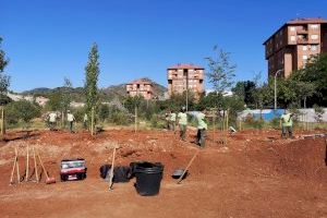 El Ayuntamiento de la Vall d’Uixó acomete una nueva fase del proyecto de creación de un bosque de ribera en la Moleta