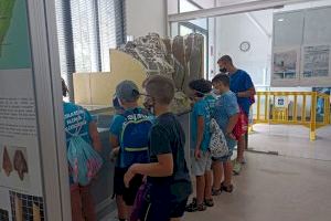 248 xiquets i xiquetes participen en l’Escola d’Estiu d'Alcalà-Alcossebre
