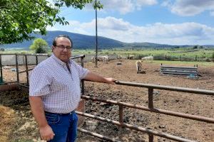 El PPCS defensa als ramaders i acusa al Govern d'atacar un sector que lluita per l'excel·lència i garanteix vida a l'interior
