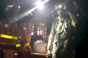 Rescate de montaña en Vilallonga: evacuados un padre, su hijo y el perro que se había perdido