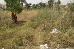 Compromís per Santa Pola denuncia el estado de abandono del yacimiento arqueológico de La Picola