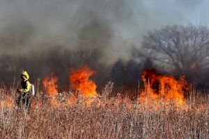 Revelan en un estudio los ingredientes de los grandes incendios forestales
