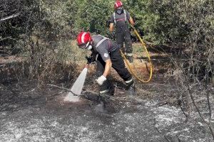 Controlat l'incendi en una zona de vegetació de cultiu abandonat prop de Porcelanosa