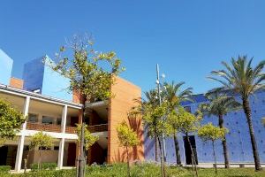 El Campus de Gandia de la UPV cubre en preinscripción el 100% de las plazas de grado y doble grado ofertadas para el curso 2021-2022