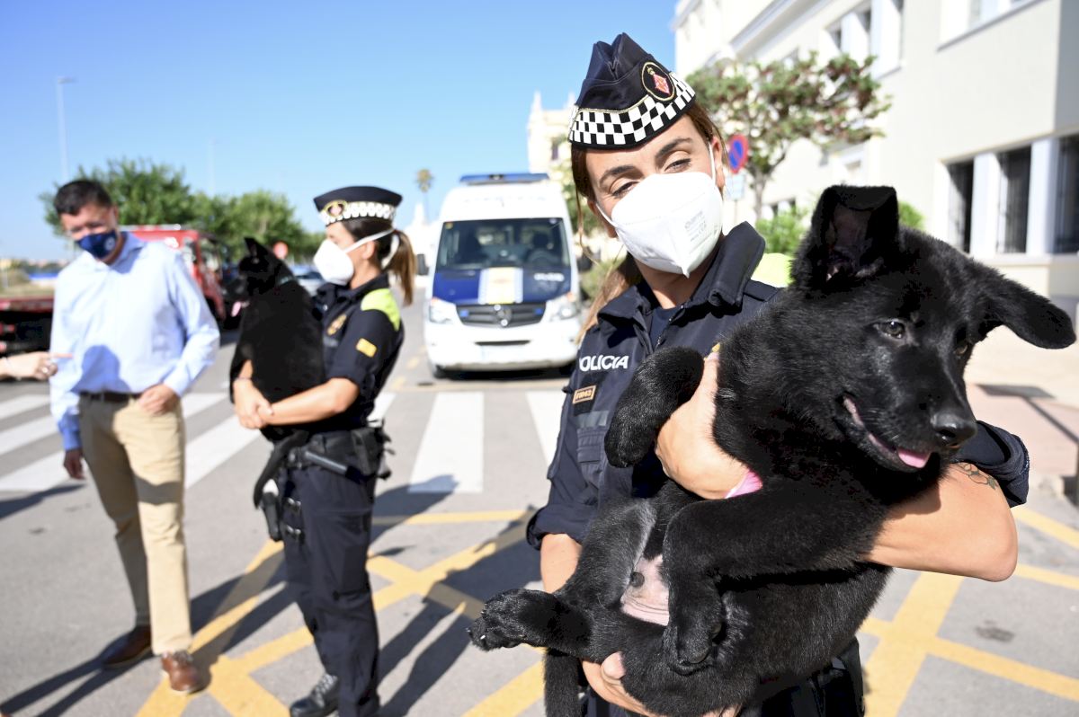 colegio Fuera popular La UCAN de Castelló entrega dos cachorros de perro policía a la Guardia  Urbana de Barcelona