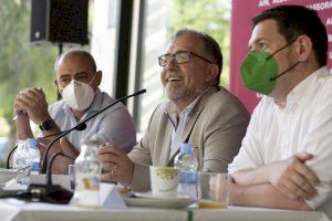 L'equip de govern de José Martí porta al ple una moció en defensa de la citricultura castellonenca enfront del cotonet