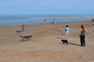 CONTIGO pide un espacio para las mascotas en el litoral ilicitano