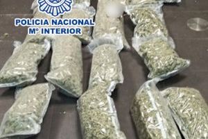 Tracten d'enviar a Holanda per paqueteria expressa 25 quilos de marihuana des d'Alacant
