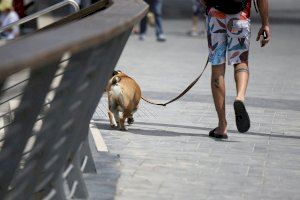 Burjassot y su protectora sensibilizan contra el abandono de mascotas en verano