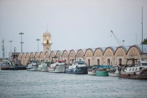 El Ple de l’Ajuntament mostra el seu suport unànime a les reivindicacions de la Confraria de Pescadors de Gandia sobre el Pla Demersals