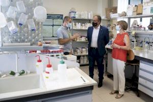 Diputación y UJI impulsan un proyecto de investigación internacional para combatir plagas y enfermedades en cultivos mediterráneos con microorganismos beneficiosos