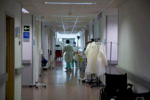 Onze embarassades amb covid estan ingressades en hospitals valencians