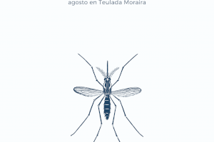 Actuaciones de control de plagas durante el mes de agosto en Teulada Moraira