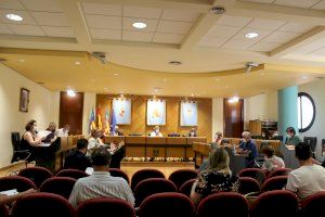 Unanimitat a Burriana per a reclamar autorització per a lluitar contra la plaga del cotonet