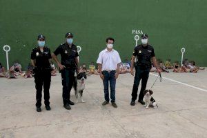 La Unidad de Guías Caninos de Policía Nacional visita a los niños de Alboraya
