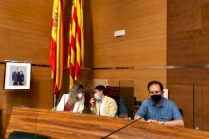 Ciudadanos reclama en la Diputación de Valencia más medidas para combatir el Cotonet