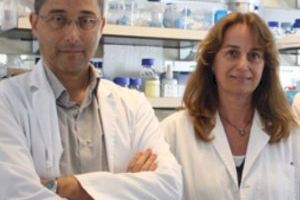 Un grupo de familias impulsa un proyecto de terapia génica para curar una enfermedad ultra rara