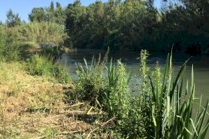Valencia inicia un estudio del cauce de los ríos para mejorar y conservar estas zonas fluviales