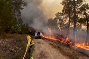 Balance de incendios forestales: cerca de la media en siniestros y superficie forestal quemada, a las puertas de la fase de mayor riesgo de la campaña