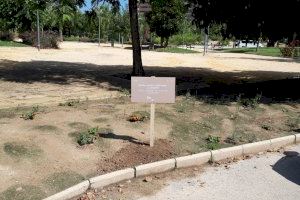 Alicante lanza una campaña para involucrar y concienciar en el cuidado de parques y jardines