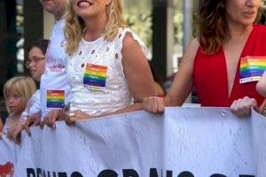 Tormo (PSPV-PSOE): "Tenemos que hacer frente al aumento de ataques de odio que estamos viviendo y denunciar las agresiones contra el colectivo LGTBI"