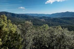 La Generalitat tanca les pistes forestals de 12 parcs naturals davant el risc d'incendis
