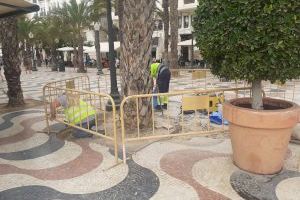 Infraestructuras repara los alcorques de dos palmeras de la Explanada junto al kiosko Peret