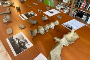 La Diputación colabora en la constitución de un museo en Vallibona con la reproducción de los huesos del dinosaurio local