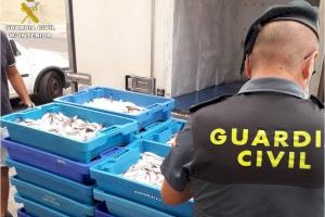 Quasi mitja tona de peix il·legal intervingut en els ports pesquers alacantins