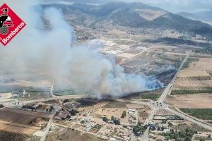Extingit l'incendi de canyar al Pinós