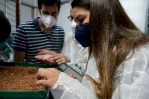 La Conselleria de Agricultura transformará la bioplanta de Caudete de las Fuentes en un Centro Valenciano Referente en Lucha Biológica