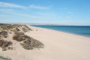 El resultado de las analíticas confirma la buena calidad de las aguas de las playas de l'Albufera