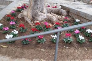 El Ayuntamiento de Peñíscola amplía las tareas de mejora de la jardinería en el municipio