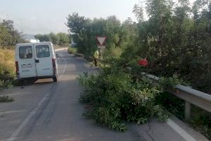 El Ayuntamiento de Almenara realiza tareas de limpieza y mantenimiento en la carretera de la Vall d'Uixó