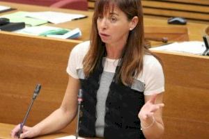 Rebeca Serna, diputada de Vox per Castelló, abandona la formació d'Abascal