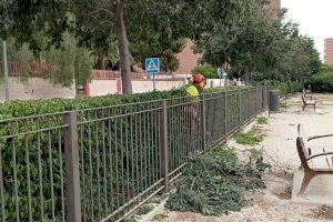 Alicante pone en marcha un plan de mantenimientos en los parques de mascotas