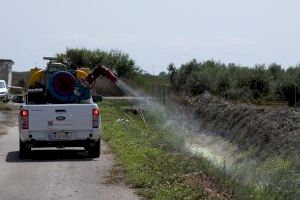 La Diputación activa una nueva tanda de fumigaciones para evitar la proliferación de mosquitos tras las lluvias de los últimos días