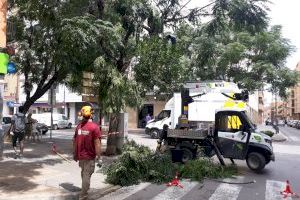 Balanç de les pluges torrencials a Alaquàs: més de 40 arbres trencats, set vehicles danyats i destrosses en el mobiliari