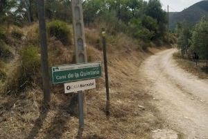Xàtiva lleva a cabo durante todo el verano el Plan de limpieza y desbroce de los caminos y accesos del término municipal