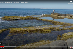 La Geogimcana 2021 a la Universitat d'Alacant es desenvolupa en format virtual a través d'una dotzena de vídeos de contingut geològic