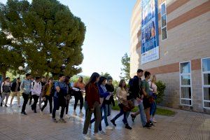 Tretze graus de la Universitat d'Alacant ofereixen places per a matricular-se abans de l'inici del curs