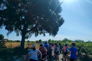 Castelló organitza una ruta ciclista en la Marjaleria per a realçar la seua riquesa ambiental i la seua importància ecosistèmica