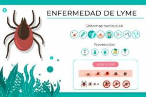 Compromís pide al Gobierno más medidas por la creciente enfermedad de Lyme causada por las garrapatas