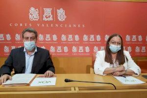 José María Llanos (VOX) sobre la reunión de Puig con Aragonés: “nos resulta tan cómico como alarmante”