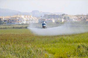 Torreblanca se convierte en el primer municipio en planificar un vuelo para paliar la plaga de mosquitos
