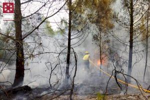 Extinguido un pequeño incendio de vegetación en Onda