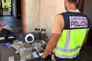 Una denuncia anónima permite dar con un importante punto de venta de drogas en Gandia